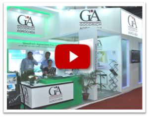 Paper Expo 2013, Pragati Maidan, New Delhi