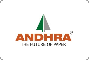 Andhra Paper Mills