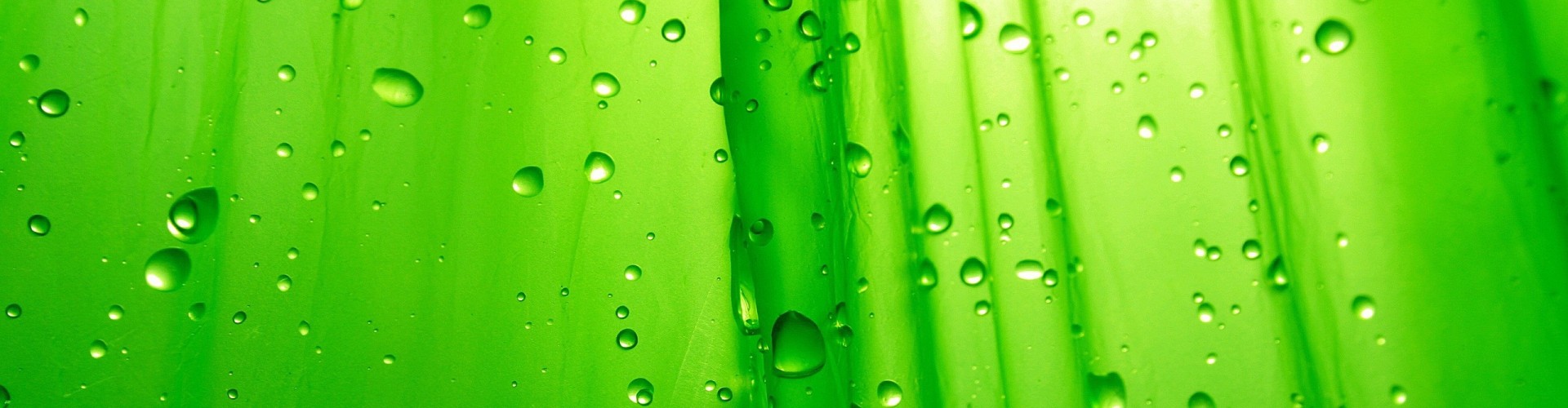 Exporter of our eco friendly pulp & paper chemicals and Textile Printing Thickeners.